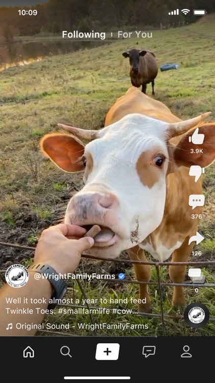 Clapper: Video, Live, Chat