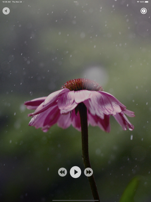 Screenshot #6 pour Dark Sky Relaxing Rain Sounds