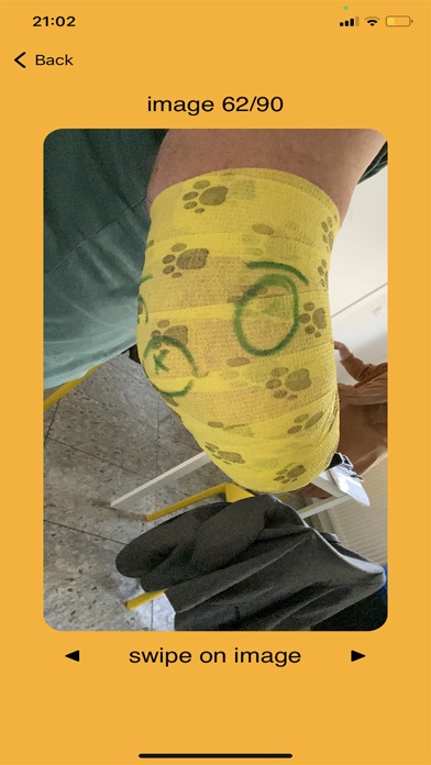 OrthoScan Screenshot
