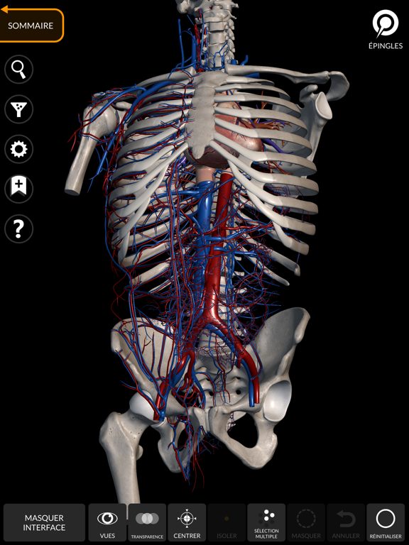 Screenshot #6 pour Anatomie - Atlas 3D