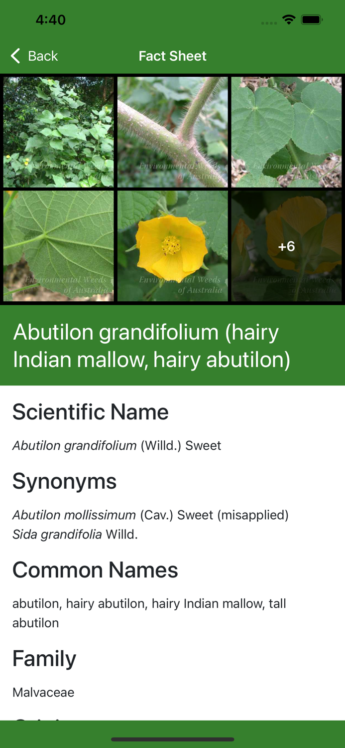 Environmental Weeds Australia