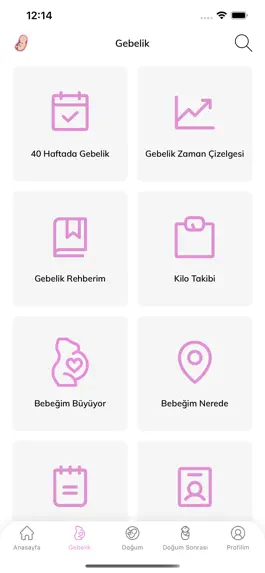 Game screenshot Op.Dr. Banu Çiftçi & Hamilelik apk