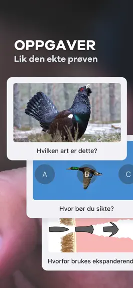 Game screenshot Jegerappen - bestå jegerprøven hack