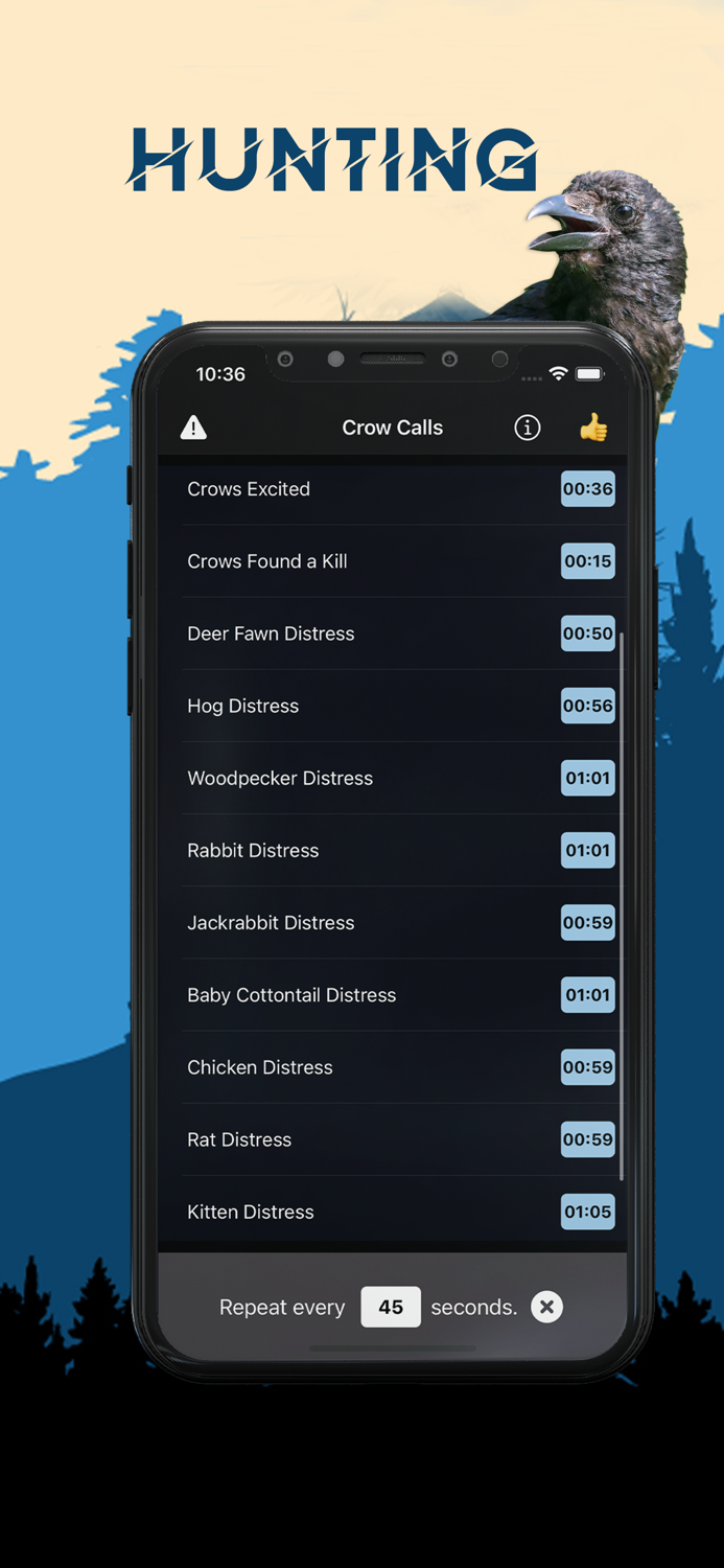Crow Magnet - Crow Sounds