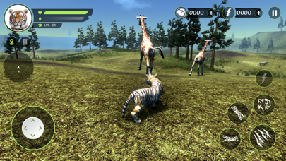 Wild Tiger Hunting Animal Life Screenshot