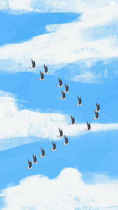 Avizor - SEOBirdLife Screenshot