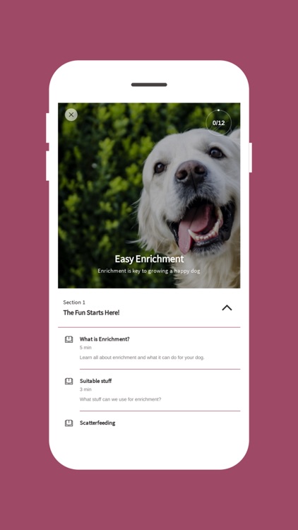 Fun Not Fear screenshot-3