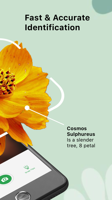 Plant Care And Identification Screenshot