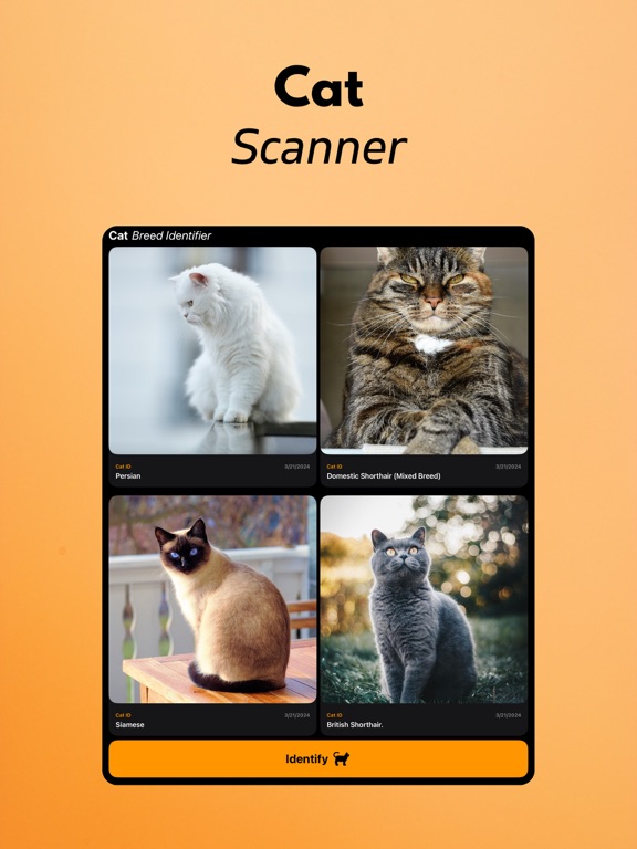 Screenshot #5 pour Cat Breed Identifier
