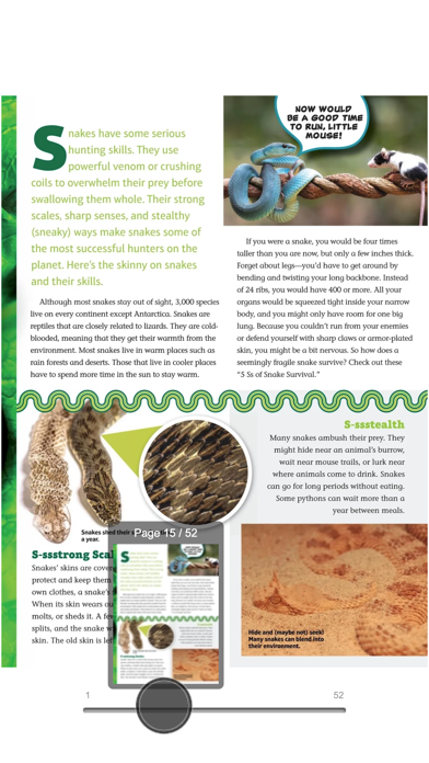 Faces Mag: Kids & Cultures Screenshot