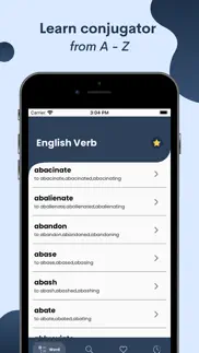 english verbs conjugation iphone screenshot 2