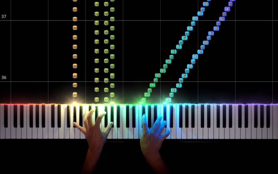 #3. SeeMusic (macOS) By: Peter Shannon
