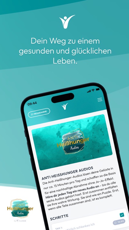 intumind screenshot-3