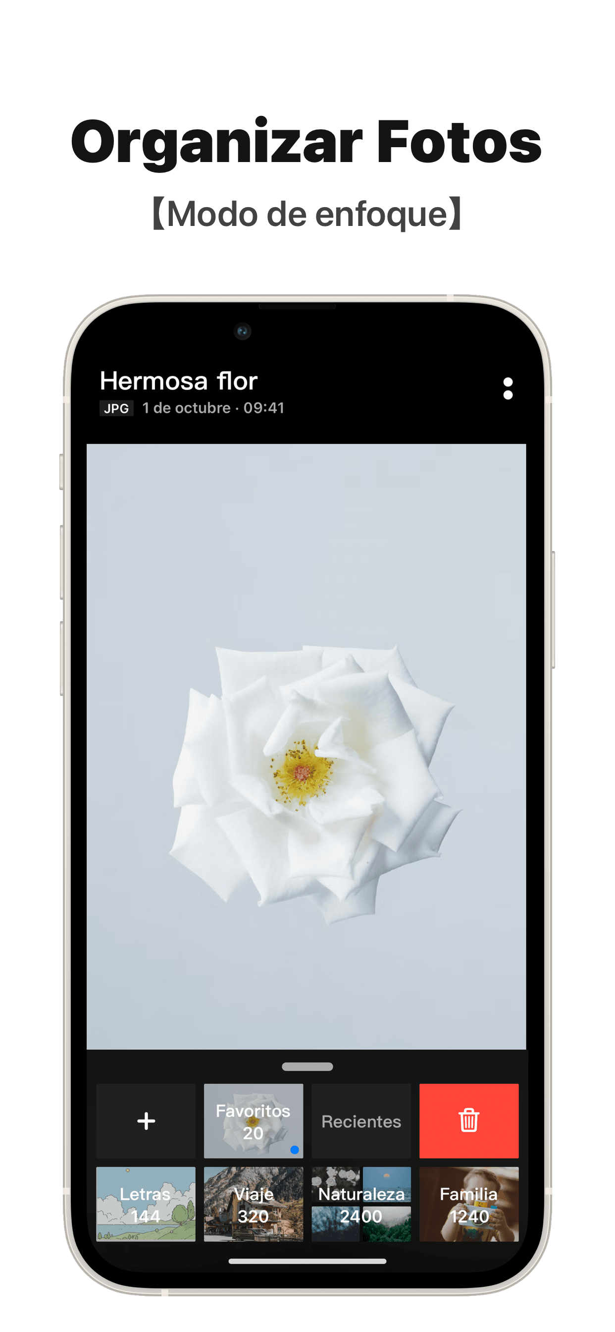 Picbook - Galería