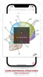 netters anatomy flash cards iphone screenshot 4