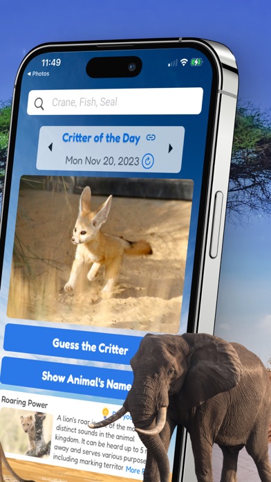 Cute Critters : Animal Quiz Screenshot