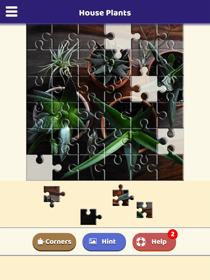 House Plants Puzzle
