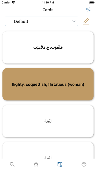 Lughatuna Arabic dictionary Screenshot