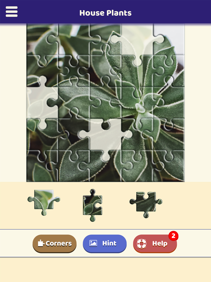 House Plants Puzzle