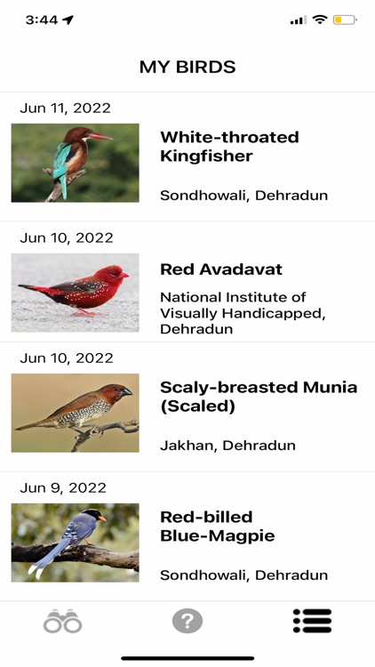 BirdCode screenshot-5