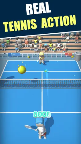 Game screenshot Crazy Tennis 3D hack