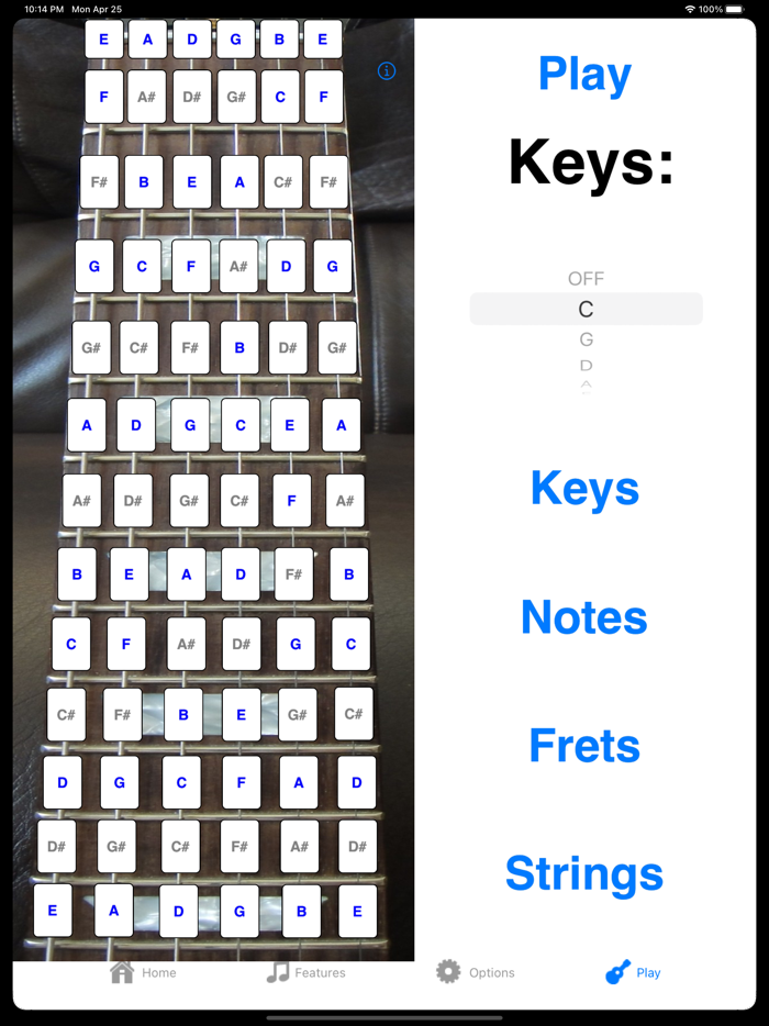 Electric Guitar Fretboard Lite