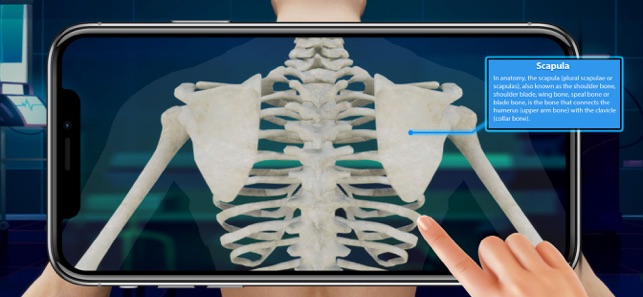 XRay Scanner – Part of Body Scanner Simulator::Appstore