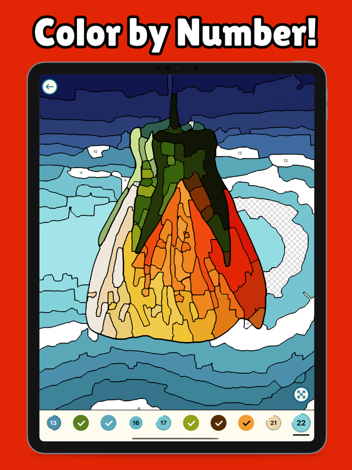 Mega Color - Paint by Number