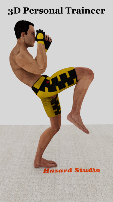 Kickboxing Fitness Workout Screenshot