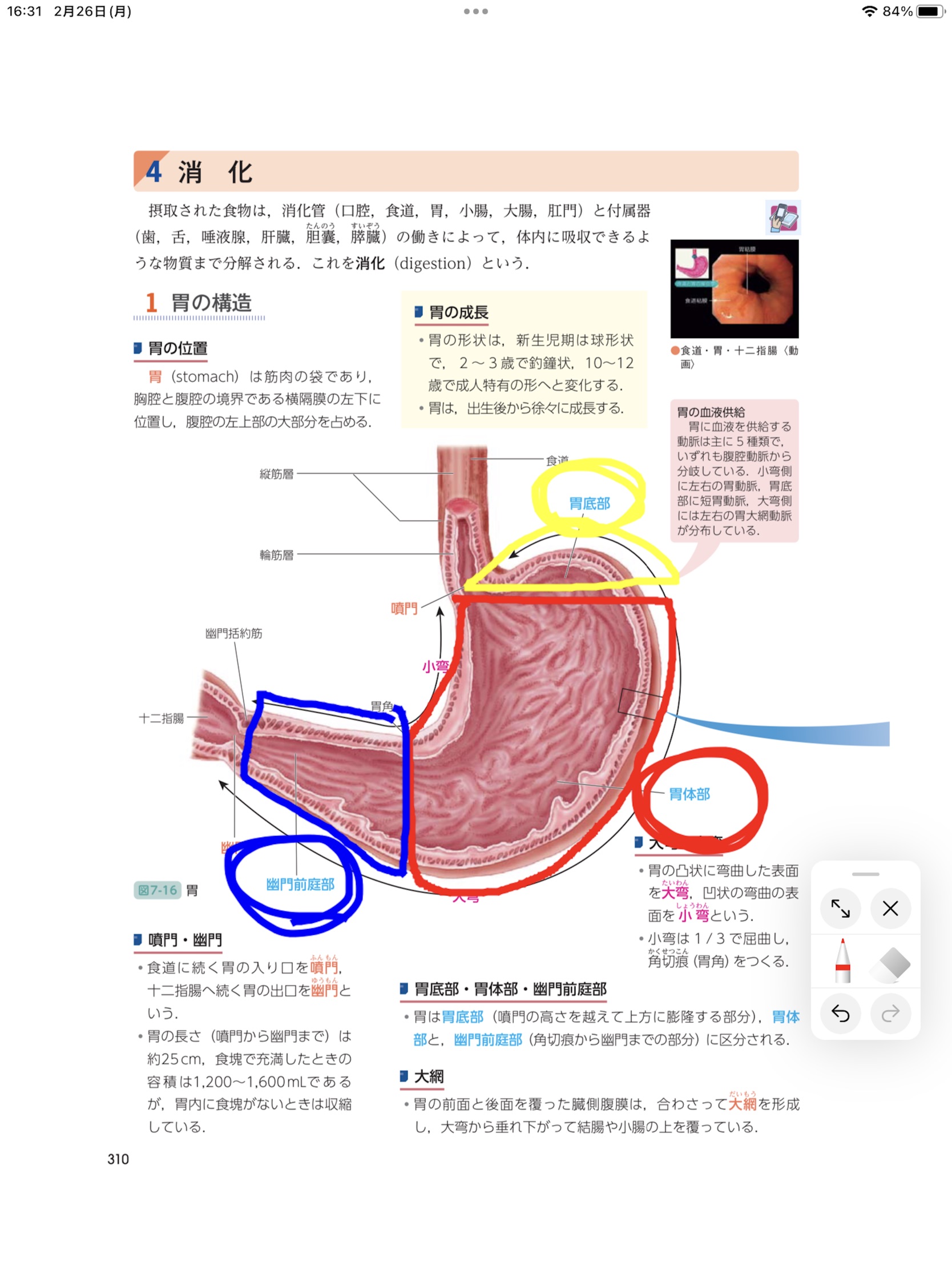 デジタル ナーシング・グラフィカのおすすめ画像2