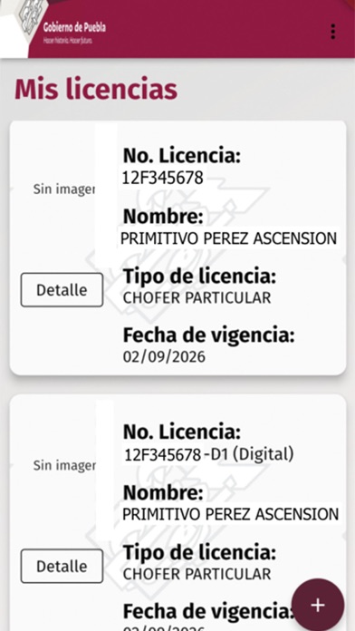 Licencia Digital Puebla Screenshot