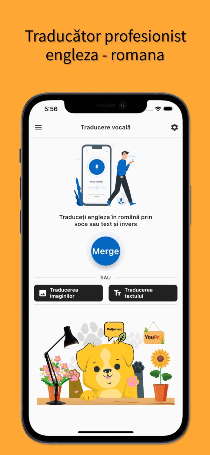 English to Romanian Traducerea