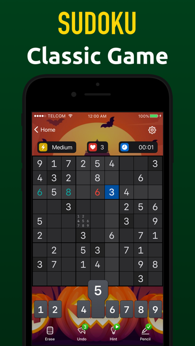 Sudoku Game Screenshot