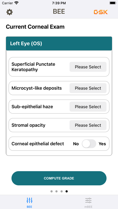 BEE - Belamaf Eye Exam Screenshot