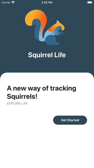 Squirrel Life Screenshot