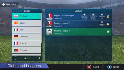 Pro League Soccer Screenshot