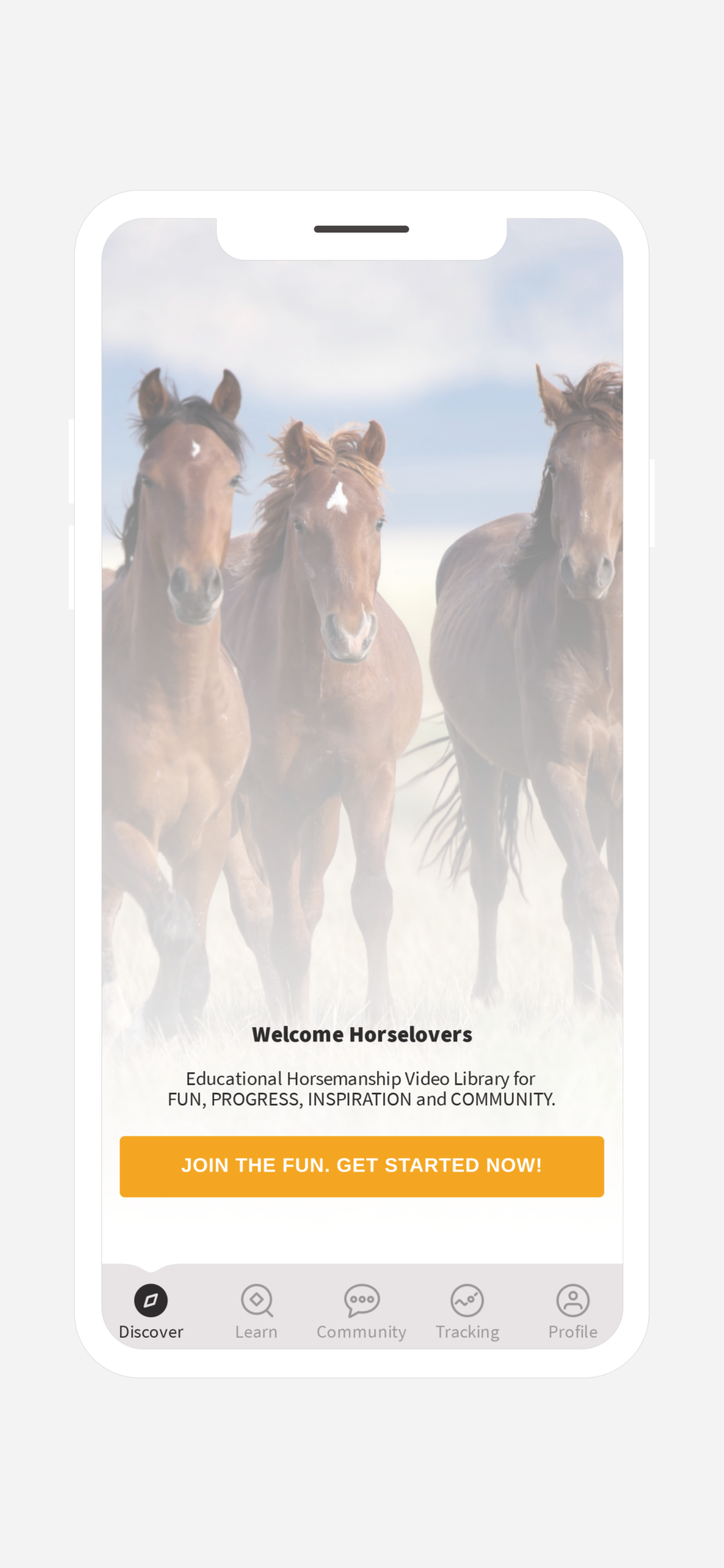 Horsemanship Insider