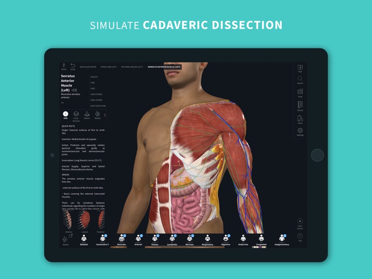 Complete Anatomy 2024