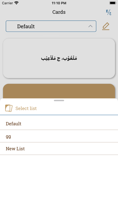 Lughatuna Arabic dictionary Screenshot