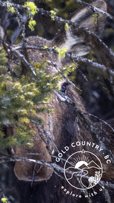 Explore Gold Country Screenshot