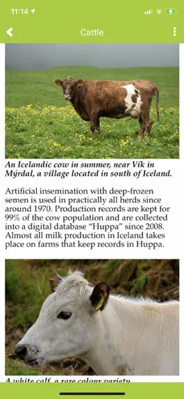 Game screenshot Icelandic Animal Breeds hack