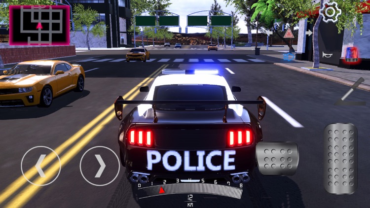 American Police Driving - Xcop