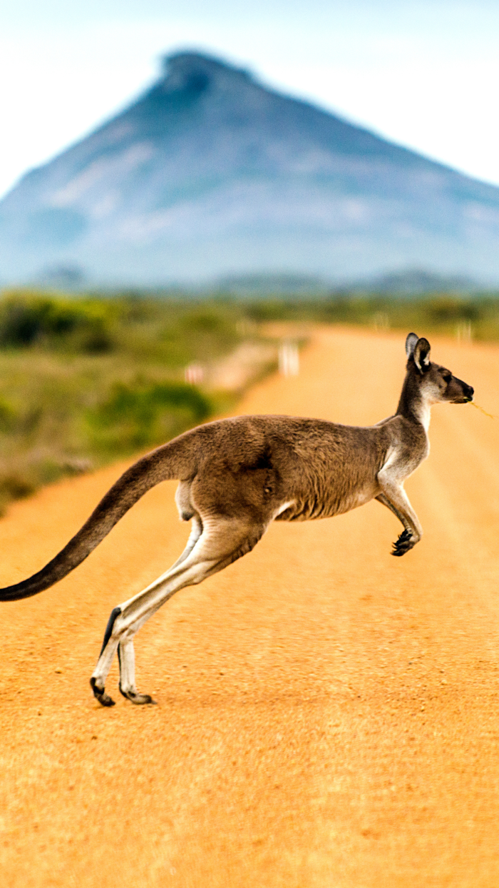 Australia Backgrounds