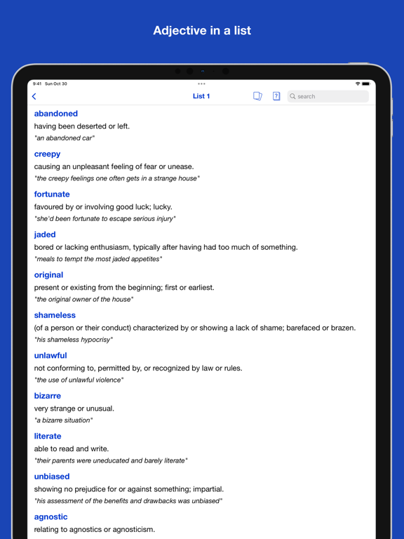 Mastering English Adjectives iPad screenshot 7 - Reference app