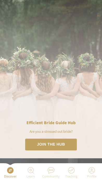 Efficient Bride Guide Screenshot