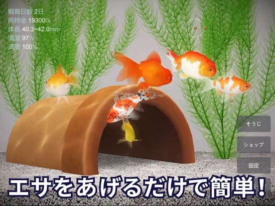 金魚育成アプリ「ポケット金魚」のおすすめ画像2