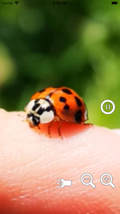 Magnifying Glass Pro2 - Loupe Screenshot