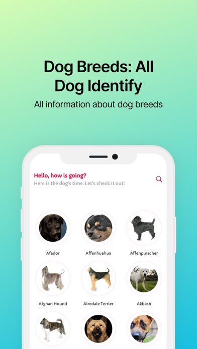 Dog Breeds: All Dog Identify Screenshot
