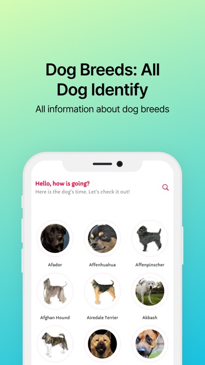 Dog Breeds: All Dog Identify