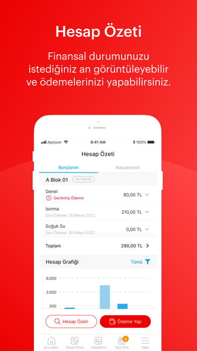 ProYönSis Profesyonel Yönetim Screenshot